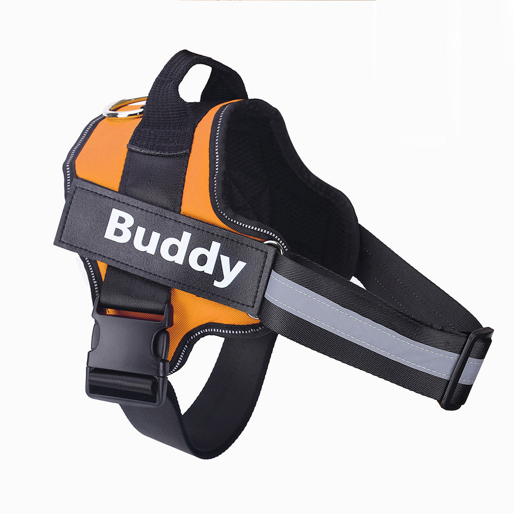 The Zyorabrands™ Personalized No-Pull Dog Harness