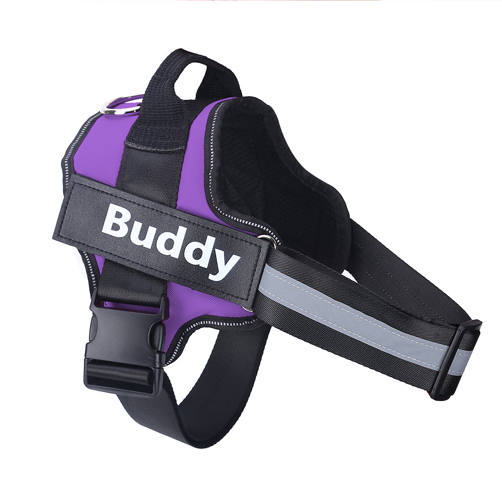 The Zyorabrands™ Personalized No-Pull Dog Harness