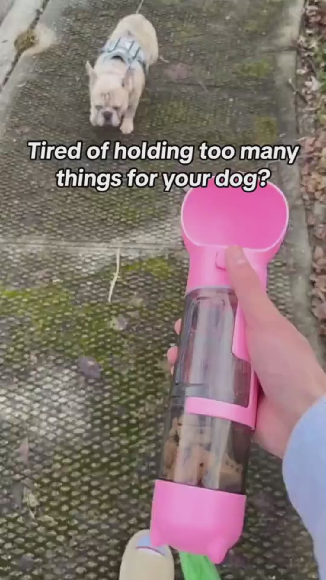 Multifunctional 4-in-1 dog water bottle and treat holder for hiking and travel